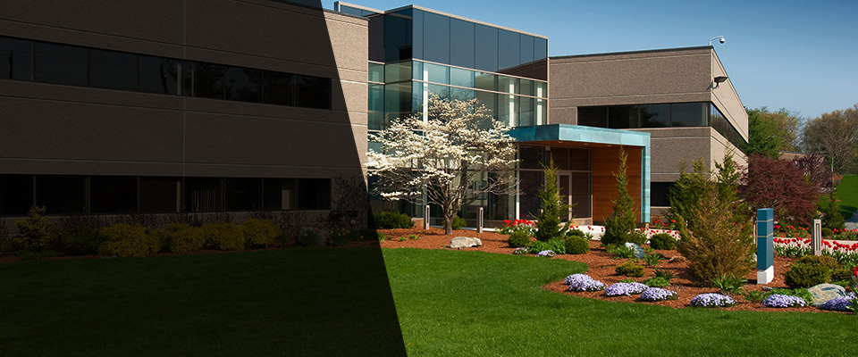 Port Aransas Landscapers