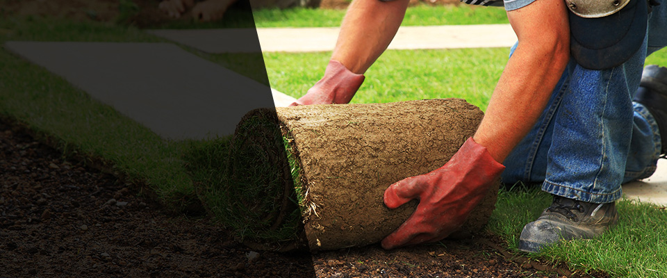 Port Aransas Landscapers